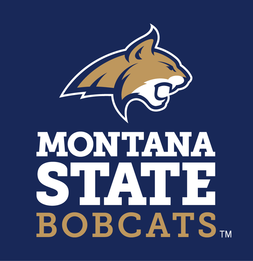 Montana State Bobcats 2013-Pres Alternate Logo 04 iron on paper